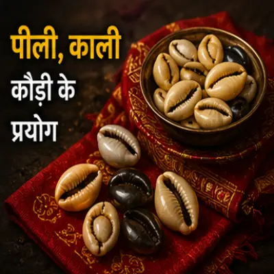 पीली, काली कौड़ी के प्रयोग