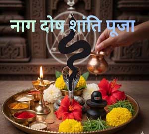 Naag Dosh Pooja