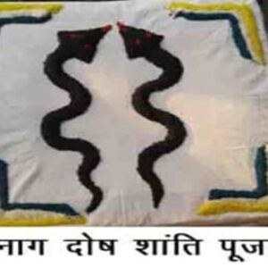 Naag-Dosh-pooja
